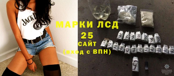 стафф Арсеньев