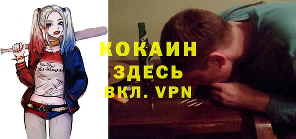стафф Арсеньев