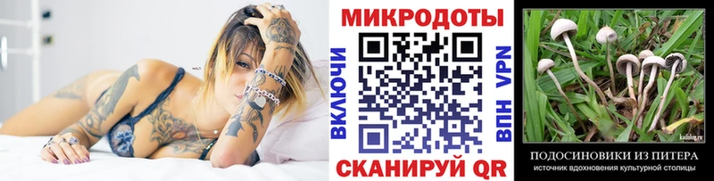 Псилоцибиновые грибы прущие грибы  Касимов 